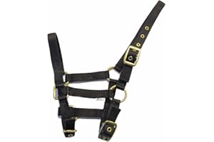 Rhinegold Licol en Nylon pour Poulain