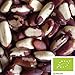 Produktbild 1kg Bio Paranüsse aus Wildsammlung, Ganze Nüsse naturbelassen und unbehandelt in Bio-Qualität