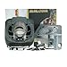 Produktbild Zylinderkit Malossi SPORT 70cc für (Langgewinde) Piaggio, Diesis, Fly, Free, Liberty, NRG MC2, MC3, S, Sfera, Storm, TPH, Zip Base SSL, Vespa , ET2, LX, LXV, Gilera Stalker, Easy Moving, ICE, Derbi, Atlantis (ab 2002), Boulevard, Bullet 50