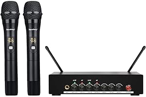 Depusheng DR20 Professionelles drahtloses Mikrofon Dual tragbares Mikrofon UHF-Funkempfänger geeignet für KTV Family K Song BühnenperformanceBluetooth