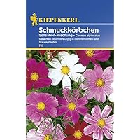 Schmuckkörbchen, 'Sensations-Mischung'