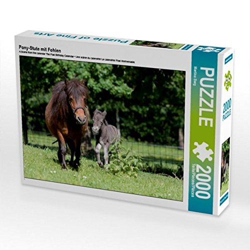 Preisvergleich Produktbild Pony-Stute mit Fohlen 2000 Teile Puzzle Quer