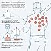 Chinese Cupping Therapy Set by DigHealth, 12 Vacuum Air Suction Cups with Pumping Handle,Wet/Dry,Traditional Home Medical Physical Massage Self Treatment for Back/Neck Pain,Weight Loss,Muscle Relief