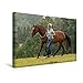Produktbild Calvendo Premium Textil-Leinwand 45 cm x 30 cm Quer, Feine Körpersprache | Wandbild, Bild auf Keilrahmen, Fertigbild auf Echter Leinwand, Leinwanddruck: Horsemanship mit Claudia Miller Tiere Tiere