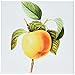 Produktbild 3drose CT _ 106851 _ 2 Redoute Vintage Watercolor Fruit weißer Winter Apple Malus sp-ceramic Fliesen, 6