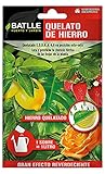 Su forma quelatada con un 4,8% garantiza una efectividad máxima y rápida. Composición: 6% Hierro (Fe) Quelatado por E.D.D.H.A. soluble en agua, 4,8% en posición orto-orto