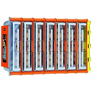 TM&W- new listing 322 egg incubators automatic hatching machine with roller egg tray