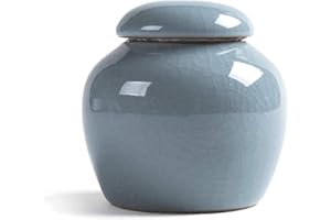 HanryDong Mini Pet Urn, Small Animal Ash Funeral Burial Box, Cremation Ceramic Keepsake for Bird, Reptile, Rabbit, Hamster, Galesasur, Forever Memorials(Blue, Green, Cyan)