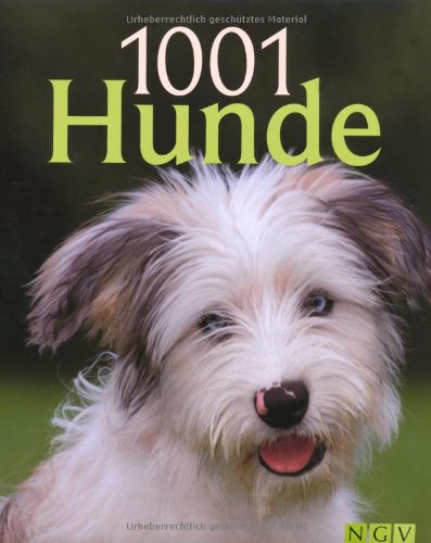 Download 1001 Hunde Download 1001 Hunde