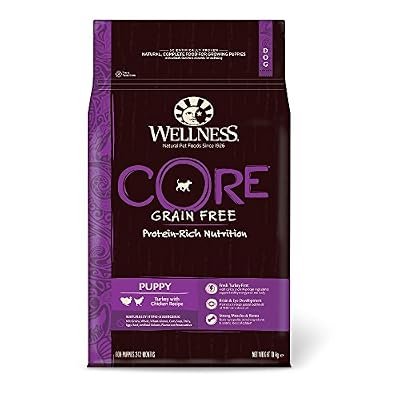 WELLNESS CORE Nourriture sèche pour Chien sans céréales
