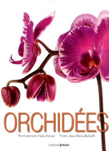 Download Orchidées Download Orchidées