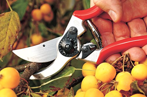 Felco Gartenschere Nr. 11, Rot, 210 mm, 250g - 2