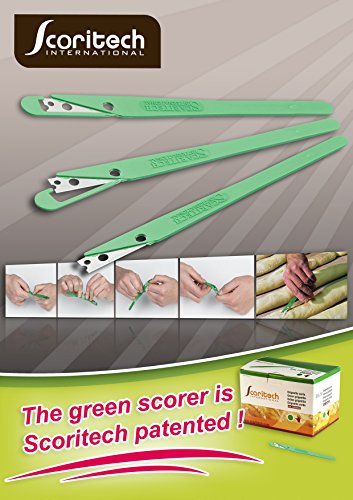 Die Grüne Teigritzmesser ist das Werkzeug der Bäcker. Die Klinge ist im rostfrei Edelstahl. - 3