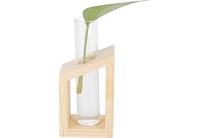 Tomotato Plant Propagation Station, Glass Test Tube Vase Plant Terrarium with Wooden Stand for Propagating Hydroponic Plants Home Decor(Single Tube)