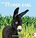 Sturer Esel 2012. Postkartenkalender by 