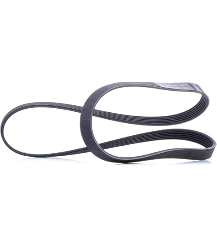 Febi Bilstein 28759 Correa Trapecial Poli V