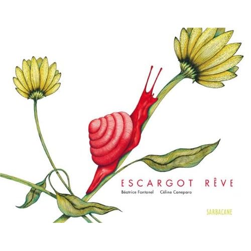 Escargot rêve Escargot rêve
