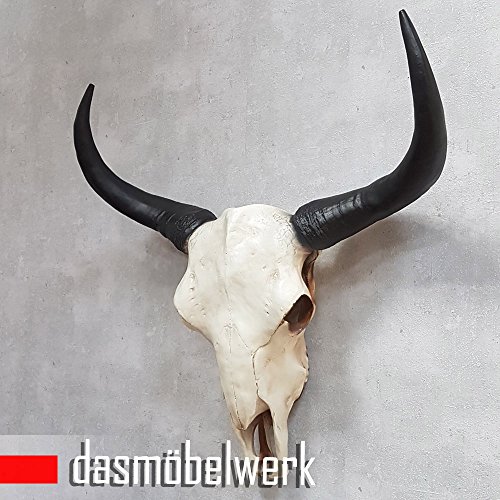 dasmöbelwerk XXL Deko Schädel 65 cm Natur Stierkopf Skulptur Stier Bullenschädel Wandskulptur Hörner Bulle Stierschädel - 2