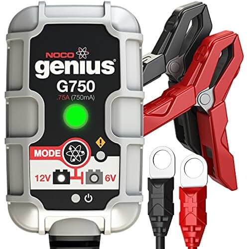 Amazon.co.uk ring battery charger Automotive