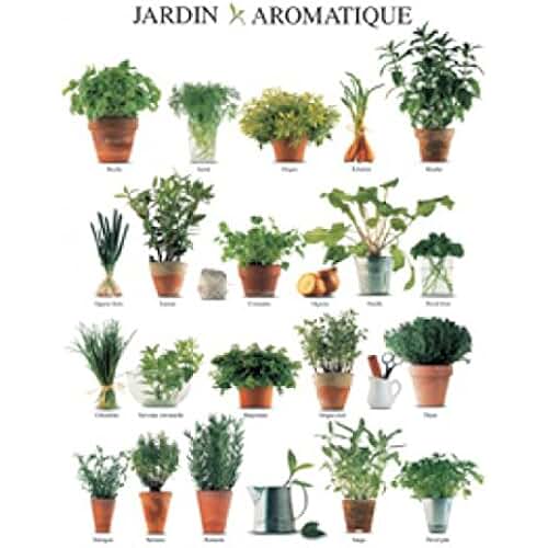 Amazon.fr herbes aromatique Tableaux, posters et arts décoratifs