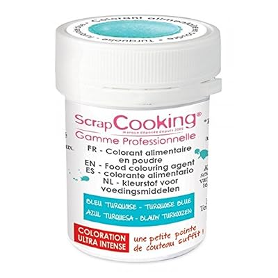 Youdoit Colorant alimentaire en poudre turquoise 5 g