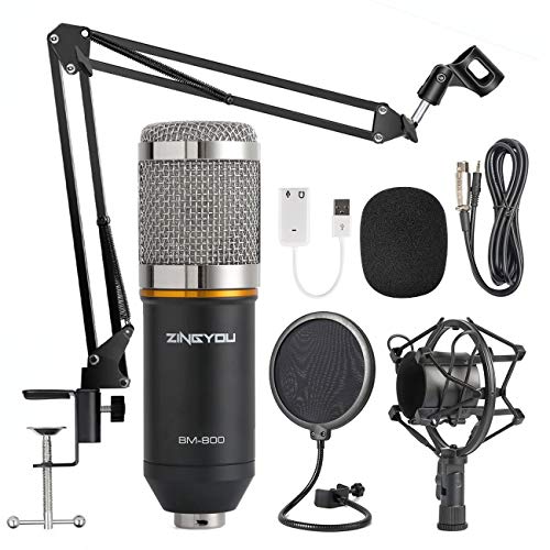 ZINGYOU Microfono de Condensador, BM-800 Micrófono Profesional Estudio con Pie Brazo para Podcast,Youtuber,PC,Gamer(Plata)
