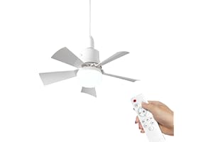 Eznaobo Ventilateur plafond avec lumiere, 30W Lampe Ventilateur Plafond avec 3 Vitesses et Temporisable, E27 Dimmable Ventilateur Plafond LED pour Chambre, Salon (white)