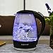 Aigostar Adam 30GOM - Bouilloire électrique en cristal avec illumination LED, capacité...