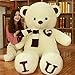Produktbild CGDZ Plus Size Teddy Bärenfell Sweet Heart American Giant Bear Mantel Plüsch Braunbär DIY Kinder Spielzeug Geburtstagsgeschenk B 80 cm