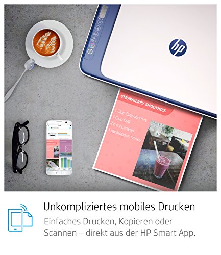 HP DeskJet 2630 Multifunktionsdrucker (Drucker, Scanner, Kopierer, WLAN, Airprint) mit 3 Probemonaten HP Instant Ink inklusive