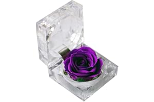 ‎GADPIPARTY Gadpiparty Konservierte Rose in Glaskuppel Mit Banddekoration Ewige Blume Geschenkbox Für Valentinstag Hochzeit Jubiläum Geburtstag
