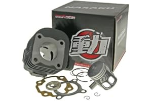 Zylinderkit Naraku 50ccm 10mm für REX (Jinan Qingqi, Shenke) REX Scooter 50 / Rexy (MK50) 2-Takt