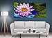 Produktbild Moderne Malerei auf Leinwand Druck auf Leinwand cm 50 x 100 (Dim.Pannelli cm.50x50 - 50x50) - Moderne Gemälde Wohnzimmer xxl - Schlafzimmer - Modernes Wohnzimmer - Küche - Zusammenfassung - Meer - Landschaften - Sonnenuntergänge - Blumen - Blumen - Presse für Restaurants - Hotels - Büros - Wohnzimmer - kleiner Raum - Panels von Holzmöbel mit einem modernen und kompletten Design für jede Umgebung. FIORI E LAGO RX 02