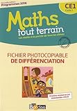 Image de Maths tout terrain CE1