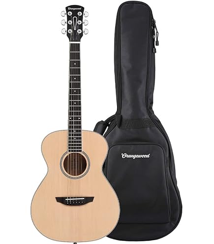Orangewood T110 NS アコースティックギター Orangewood T110 NS アコースティックギター Orangewood T110 NS