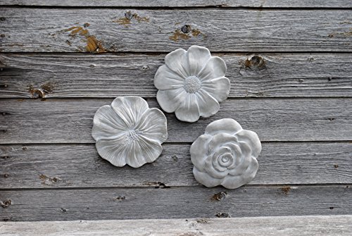 Wandbilder Blüten,3er Set mit verschiedenen Blüten,grau,je 20cm - 4