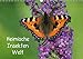 Produktbild Heimische Insekten Welten (Wandkalender 2019 DIN A3 quer): Schmetterlinge und andere Insekten in Deutschland (Monatskalender, 14 Seiten ) (CALVENDO Tiere)