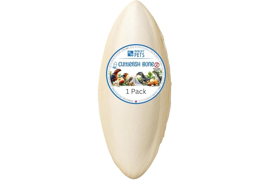 Cuttlefish Bone 1 Pack - for Birds Reptiles Snails 9-15cm