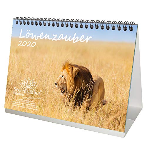 Télécharger Löwenzauber 2020 Calendrier de table Format A5 Motif lion et lion PDF