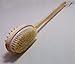 SPA Bath Shower Body Scrubber Bristle Brush with Palm Strap (With handle)