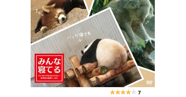 みんな寝てる パンダもゾウもカピバラも 動物達の寝顔いっぱいー Dvd Amazon De Dvd Blu Ray