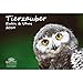Produktbild Tierzauber Eulen und Uhus · DIN A3 · Premium Kalender 2019 · Vögel · Vogel · Fliegen · Wald · Natur · Tiere · Edition Seelenzauber