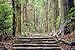 Produktbild Alu-Dibond-Bild 140 x 90 cm: "Kumano Kodo in Wakayama, Japan at Daimon Slope", Bild auf Alu-Dibond