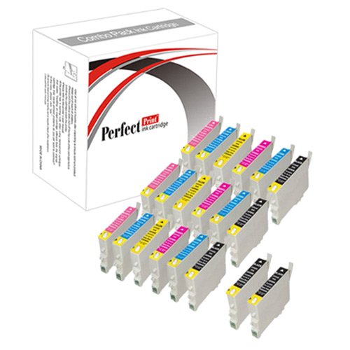 PerfectPrint Kompatibel Tinte Patrone Ersatz für Epson Stylus Photo R200 R220 R300 R300M R320 R330 R340 R350 RX300 RX320 RX500 RX600 RX620 RX640 (Schwarz/Cyan/Magenta/Gelb/Licht-Cyan/Magenta, 20-Pack)