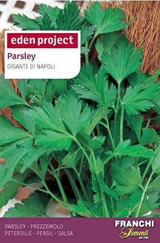 Franchi Eden Project Parsley Gigante di Napoli Seed (2)