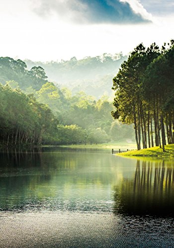 Eurographics DP-DT8047 Deco Print Pang Oung, 50 x 70 cm - 4