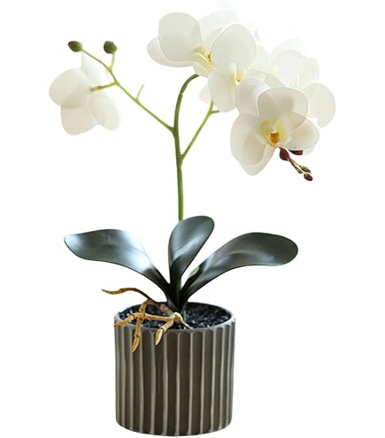 Pianta artificiale di ciliegio 200h cm in vaso nero con fiori bianco