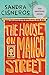 The House on Mango Street (Vintage Contemporaries) by