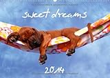 sweet dreams 2014 (Wandkalender 2014 DIN A4 quer): schlafende Hundewelpen (Monatskalender, 14 Seiten) by