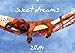 sweet dreams 2014 (Wandkalender 2014 DIN A4 quer): schlafende Hundewelpen (Monatskalender, 14 Seiten) by